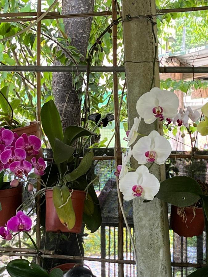 Garden Hostel Minxiong المظهر الخارجي الصورة