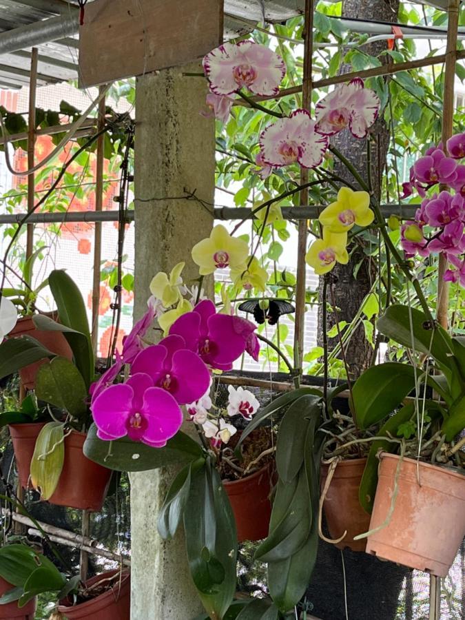 Garden Hostel Minxiong المظهر الخارجي الصورة