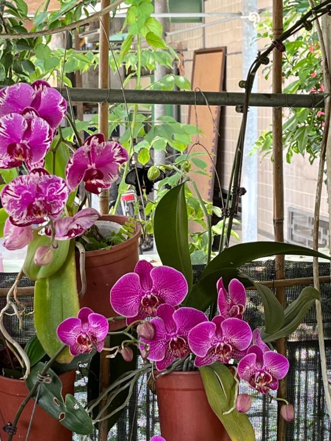 Garden Hostel Minxiong المظهر الخارجي الصورة