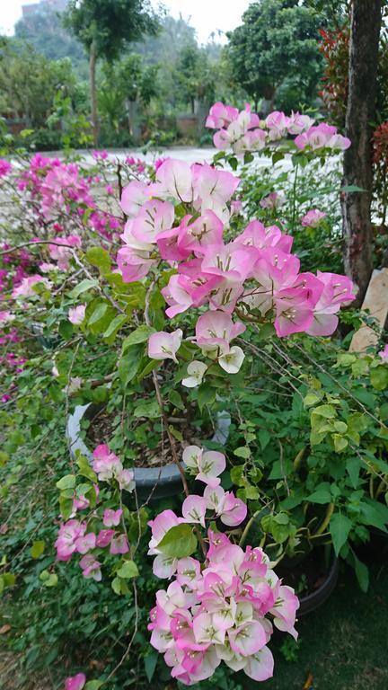 Garden Hostel Minxiong المظهر الخارجي الصورة