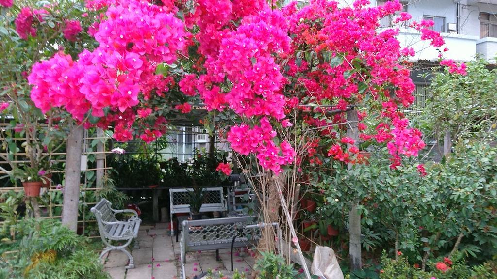 Garden Hostel Minxiong المظهر الخارجي الصورة