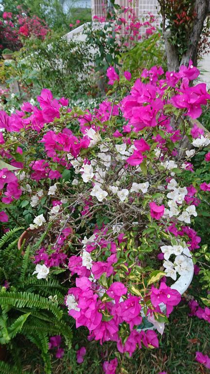 Garden Hostel Minxiong المظهر الخارجي الصورة