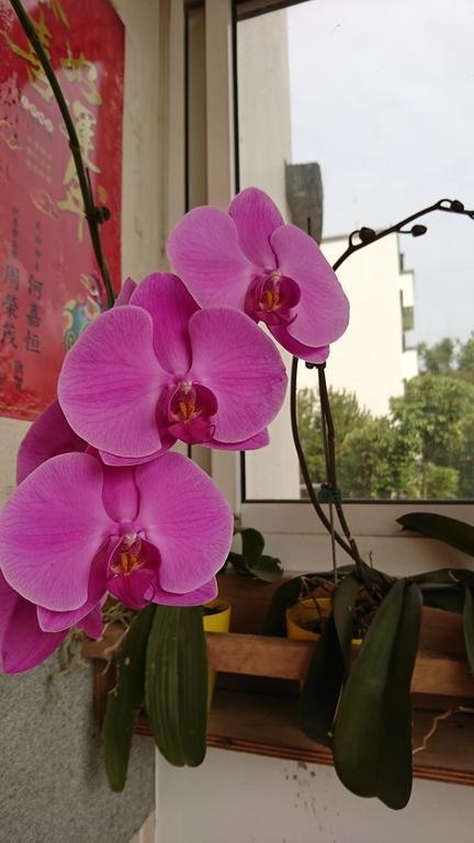 Garden Hostel Minxiong المظهر الخارجي الصورة