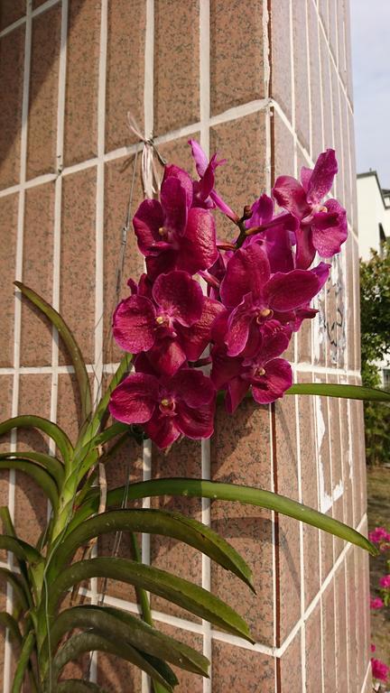 Garden Hostel Minxiong المظهر الخارجي الصورة